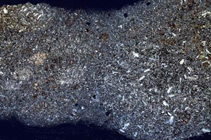 Cross Polarized, S54316