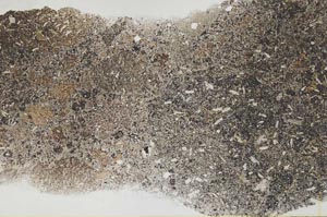 Plane Polarized, S54316