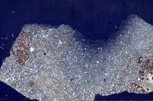 Cross Polarized, S54317