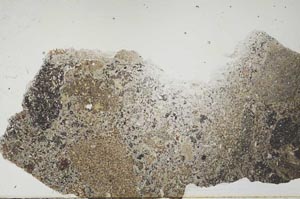 Plane Polarized, S54317