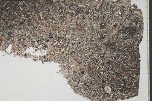 Plane Polarized, S54318