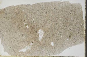 Plane Polarized, S54414