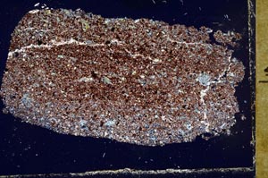 Cross Polarized, S54415