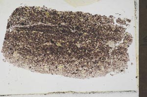 Plane Polarized, S54415