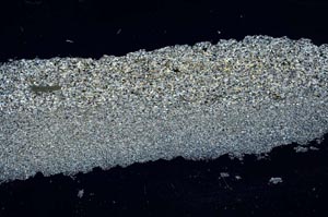 Cross Polarized, S54416