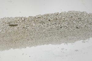 Plane Polarized, S54416