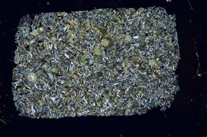 Cross Polarized, S54417