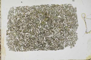 Plane Polarized, S54417