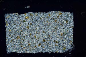 Cross Polarized, S54419