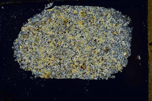 Cross Polarized, S54420