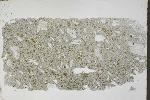 Plane Polarized, S54426