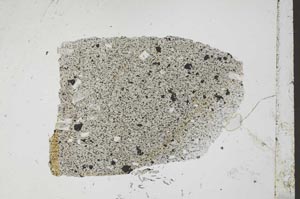 Plane Polarized, S54433
