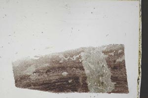 Plane Polarized, S54437