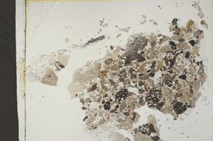 Plane Polarized, S54449