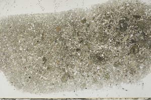 Plane Polarized, S54454