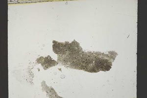 Plane Polarized, S54460