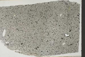 Plane Polarized, S54461