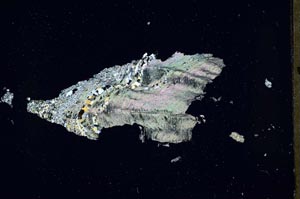 Cross Polarized, S54521