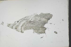 Plane Polarized, S54521