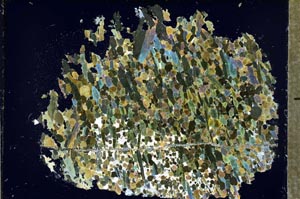 Cross Polarized, S54525