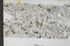 Plane Polarized, S54554
