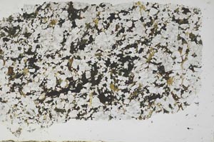 Plane Polarized, S54561