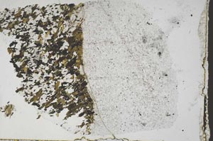 Plane Polarized, S54563