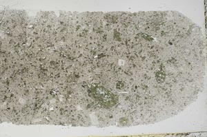 Plane Polarized, S54566