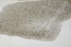 Plane Polarized, S54568