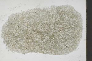 Plane Polarized, S54570