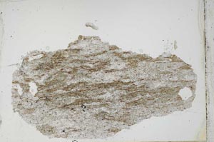 Plane Polarized, S54575