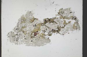 Plane Polarized, S54590
