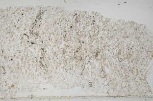 Plane Polarized, S54594