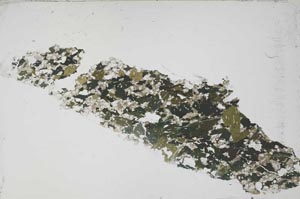 Plane Polarized, S54598