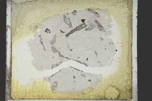 Plane Polarized, S54621