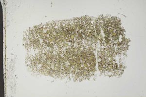 Plane Polarized, S54639