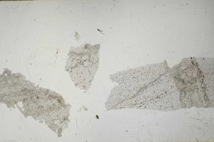 Plane Polarized, S54650