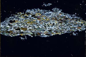 Cross Polarized, S54656