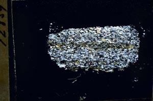 Cross Polarized, S54662