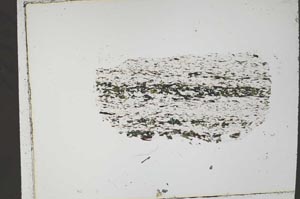 Plane Polarized, S54662