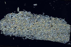 Cross Polarized, S54663