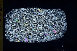 Cross Polarized, S54664