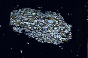 Cross Polarized, S54665