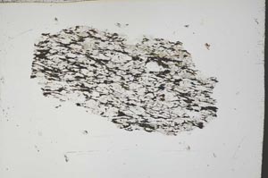 Plane Polarized, S54665