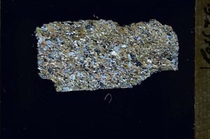 Cross Polarized, S54666