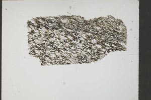 Plane Polarized, S54666