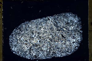 Cross Polarized, S54667