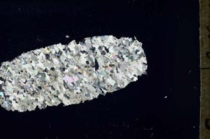 Cross Polarized, S54668