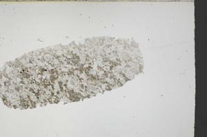 Plane Polarized, S54668