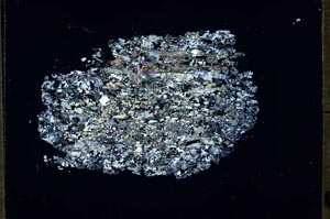 Cross Polarized, S54669